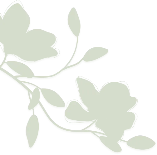Decorative floral branch illustration